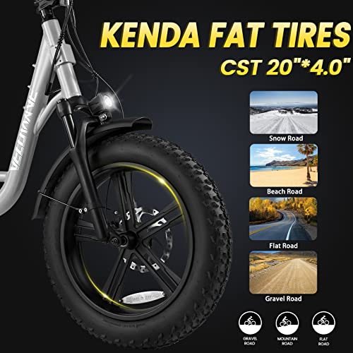 VELOWAVE Prado S Electric Bike for Adult 750W BAFANG Motor