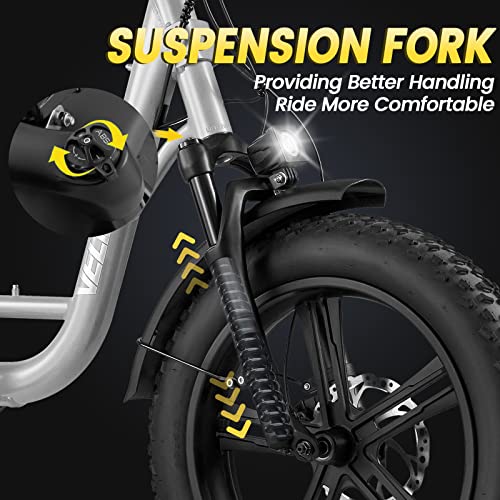 VELOWAVE Prado S Electric Bike for Adult 750W BAFANG Motor