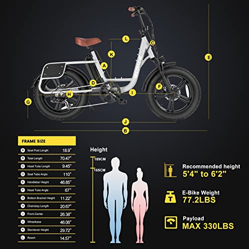 VELOWAVE Prado S Electric Bike for Adult 750W BAFANG Motor