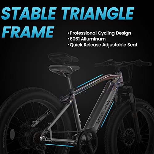 VELOWAVE Electric Bike Adults 750W BAFANG Motor 48V 15Ah LG Cells Battery,26" x 4.0" Fat Tire
