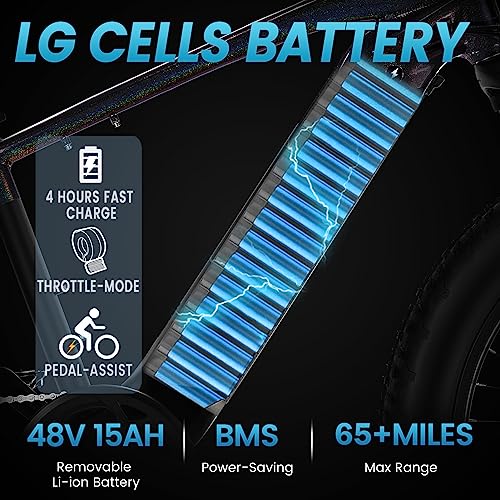 VELOWAVE Electric Bike Adults 750W BAFANG Motor 48V 15Ah LG Cells Battery,26" x 4.0" Fat Tire