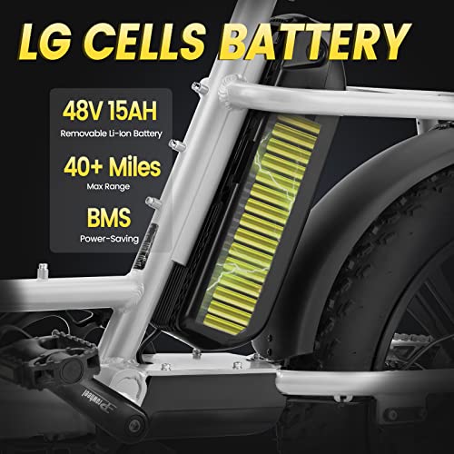 VELOWAVE Prado S Electric Bike for Adult 750W BAFANG Motor