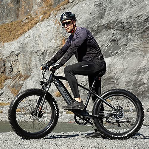 VELOWAVE Electric Bike Adults 750W BAFANG Motor 48V 15Ah LG Cells Battery,26" x 4.0" Fat Tire